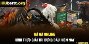Đá Gà Online - Hình Thức Giải Trí Đứng Đầu Hiện Nay
