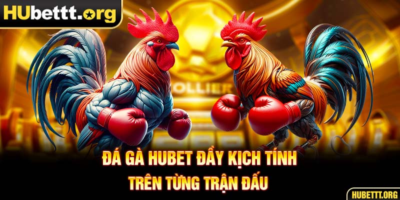 Sảnh đá gà được yêu thích đứng top 1 tại HUBET