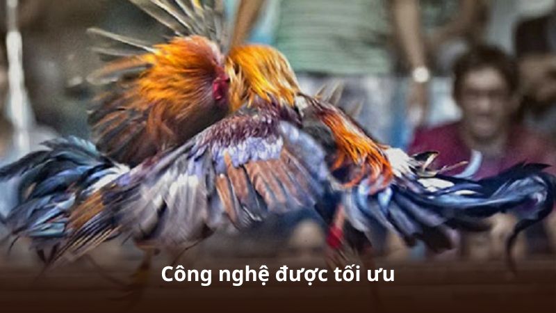Công nghệ được tối ưu