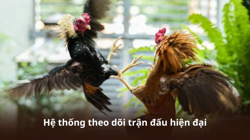 Hệ thống theo dõi trận đấu hiện đại